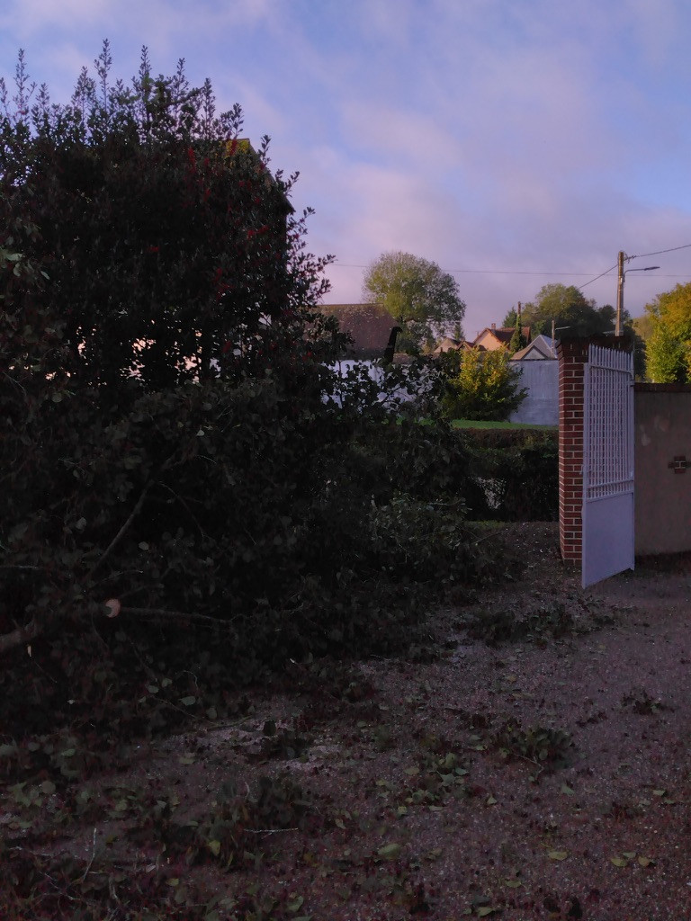 Abattage d'arbres Incheville en seine maritime